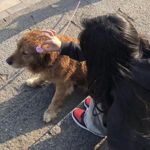 嫩草91香蕉国产观看免费
